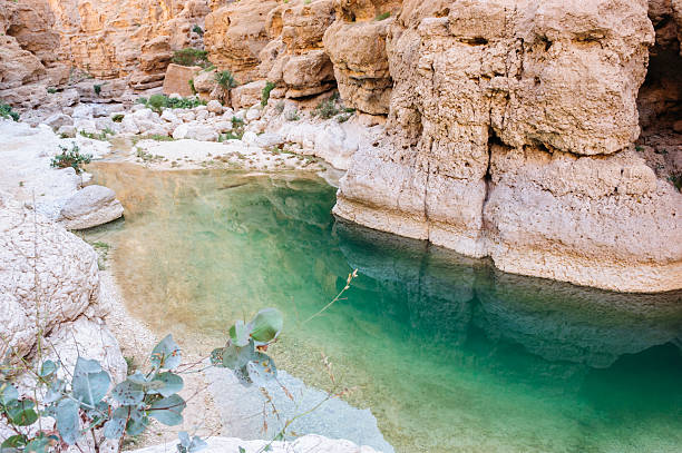 Wadi Shab Wadi Al Shab, Oman. riverbed stock pictures, royalty-free photos & images