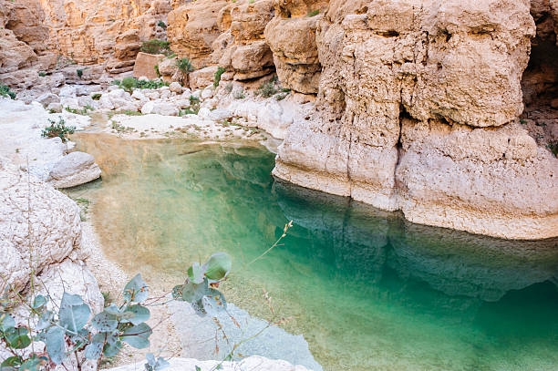 wadi shab - leito de rio imagens e fotografias de stock