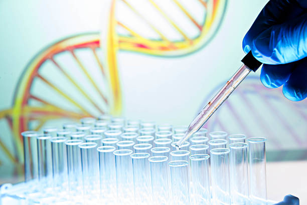 istock Gloved hand drops liquid into test tube with pipette 174859205