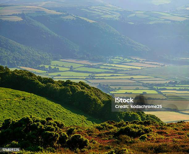 Photo libre de droit de Minehead banque d'images et plus d'images libres de droit de Parc National d'Exmoor - Parc National d'Exmoor, Ferme - Aménagement de l'espace, Devon