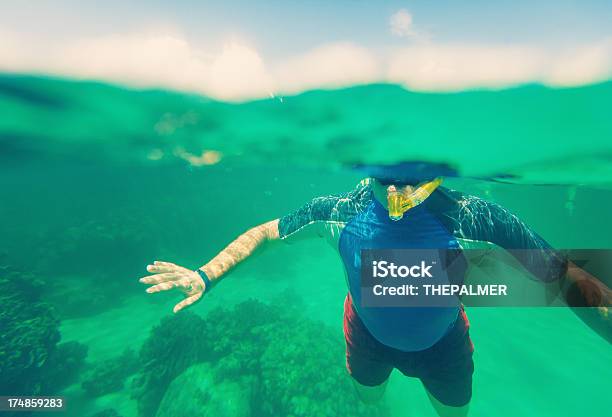 Photo libre de droit de La Plongée Avec Masque Et Tuba Dans Les Caraïbes banque d'images et plus d'images libres de droit de Au fond de l'océan - Au fond de l'océan, Bleu, Corail - Cnidaire