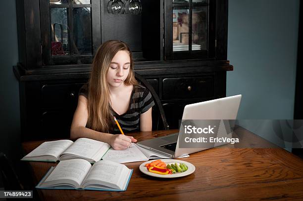 若い 10 代の少女をさて宿題です - 14歳から15歳のストックフォトや画像を多数ご用意 - 14歳から15歳, おやつ, コンピュータ