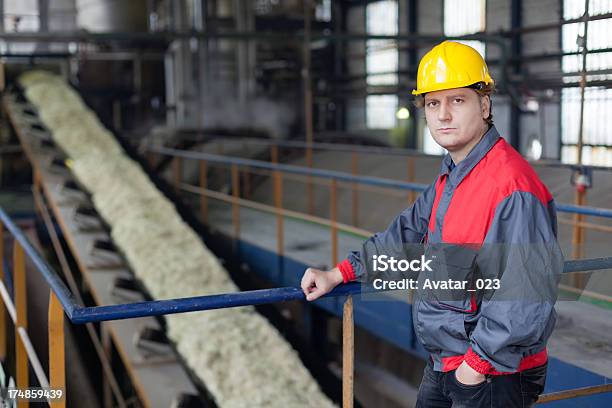 Fabbrica Di Zucchero - Fotografie stock e altre immagini di Barbabietola - Barbabietola, Silo, Adulto