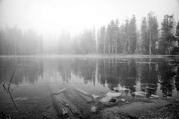 istock Misty lake in Yosemite NP 174859606