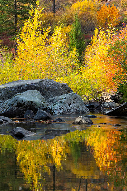 jesień kolor odbicie - vertical photography color image tumwater canyon zdjęcia i obrazy z banku zdjęć