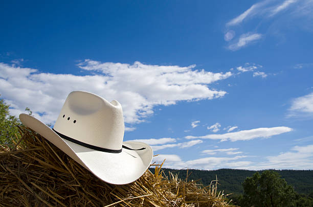 istock Cowboy hat with hay and sky 174860518