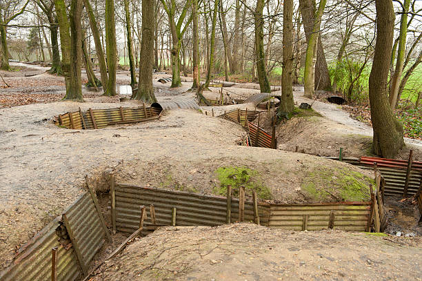 ww1 도랑, 샌추어리 목재, 이프르, 벨기에 - world war i battlefield nobody mud 뉴스 사진 이미지