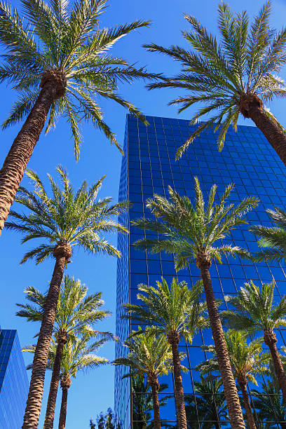 southern california office building - office building office park low angle view orange county stock-fotos und bilder