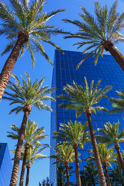 istock Southern California office building 174860581