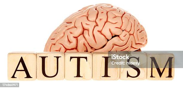 Autismo Cerebro Foto de stock y más banco de imágenes de Autismo - Autismo, Anatomía, Aprender