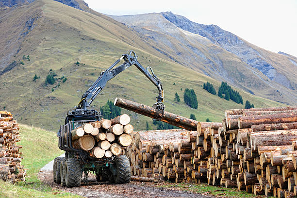 istock Tractor Loading Loggs in the Bernese Alps Switzerland 174861325