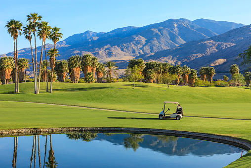 Late afternoon light cast a warm glow to a golf course in Palm Springs, California