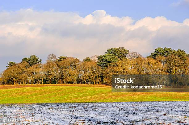 Campo - Fotografie stock e altre immagini di Agricoltura - Agricoltura, Ambientazione esterna, Brina - Acqua ghiacciata