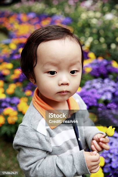 Linda Asiática Bebé En El Parque Foto de stock y más banco de imágenes de Parque público - Parque público, Tulipán, 12-17 meses