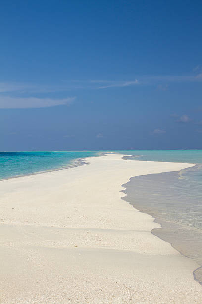 istock Maldives paradise white sand beach 174862464