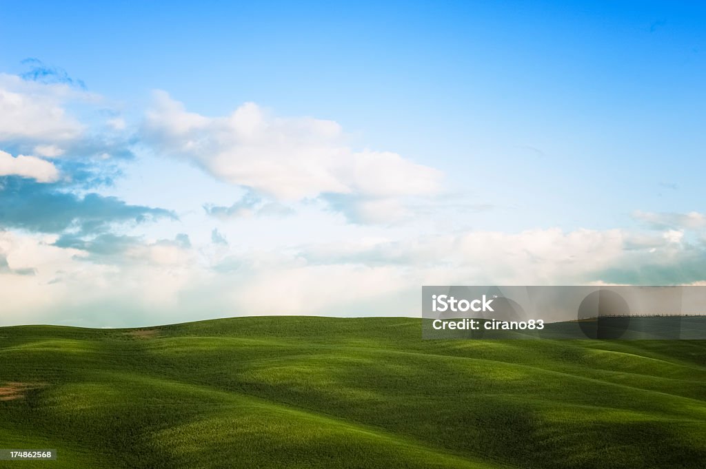 Grünes Gras und Himmel - Lizenzfrei Anhöhe Stock-Foto