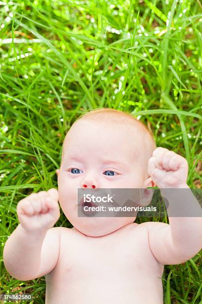 Torcer Bebê Deitado Na Relva - Fotografias de stock e mais imagens de Bebé - Bebé, Deitar, Relvado - Terra Cultivada