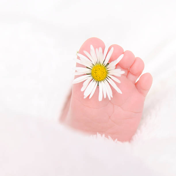 istock Baby foot with daisies 174862803