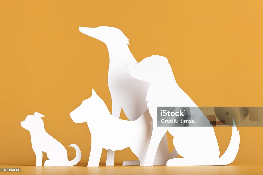 Cuatro perros con atención que espera-concepto de papel - Foto de stock de Grupo de objetos libre de derechos