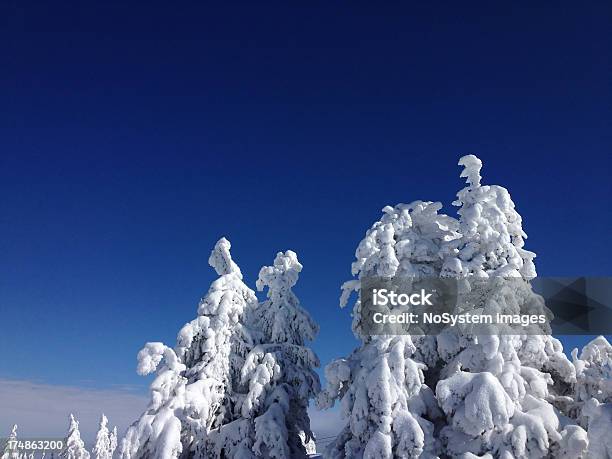 Красивый Зимний Пейзаж — стоковые фотографии и другие картинки Без людей - Без людей, Взятые с мобильного устройства, Гора