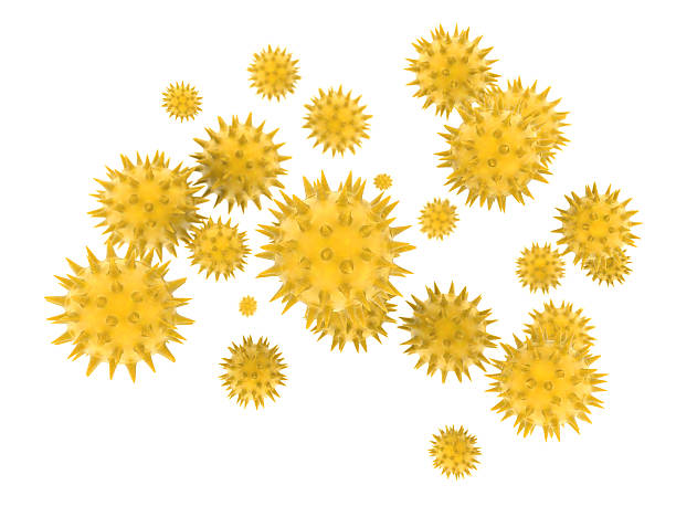 gránulos de polen - pollen magnification high scale magnification yellow fotografías e imágenes de stock