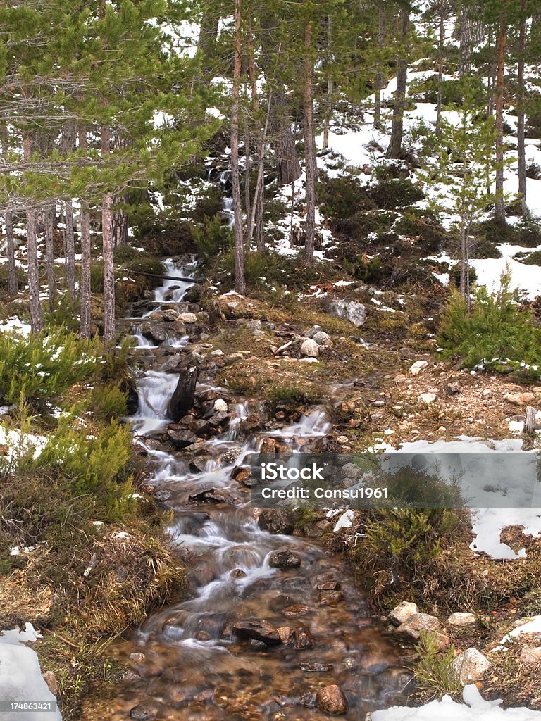 De invierno - Foto de stock de Agua libre de derechos