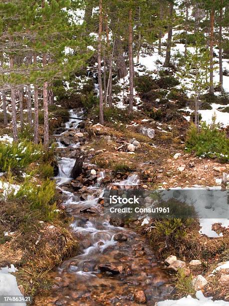 De Invierno Foto de stock y más banco de imágenes de Agua - Agua, Aire libre, Belleza de la naturaleza