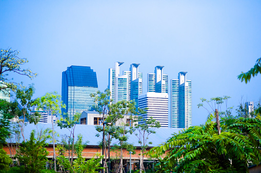 Three towers of Millennium Residence behind Benjakitti Park in Bangkok seen from Lumphini