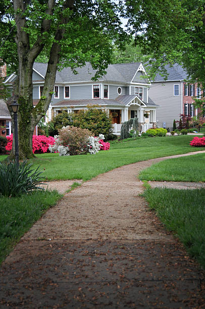 istock American Suburb, Houses along pavement 174863554