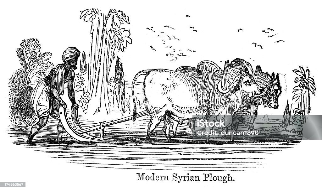 Syrische Plough - Lizenzfrei 19. Jahrhundert Stock-Illustration