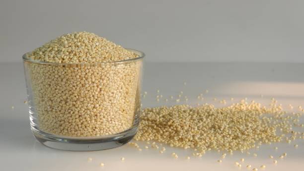 istock Proso millet, tiny round seeds with a golden hue kept in a glass bowl 1748637184