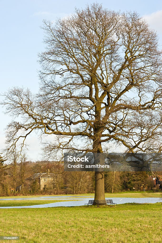 Yalding sur une froide journée d'hiver - Photo de Angleterre libre de droits