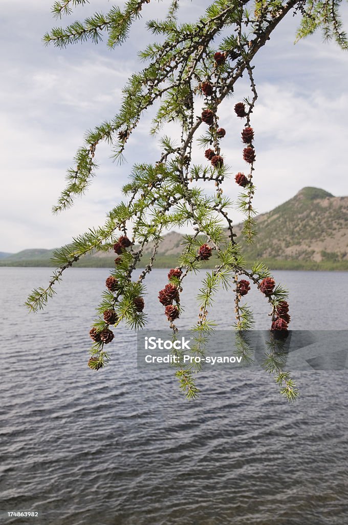 Pelo Lago Dvargalaak. - Foto de stock de Beleza natural - Natureza royalty-free