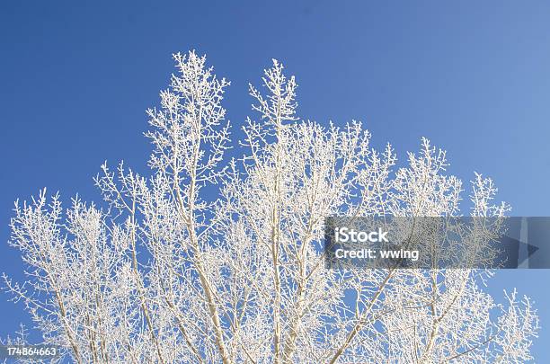 Foto de Bela Gelo Fundo De Inverno e mais fotos de stock de Azul - Azul, Cristal de Gelo, Céu - Fenômeno natural