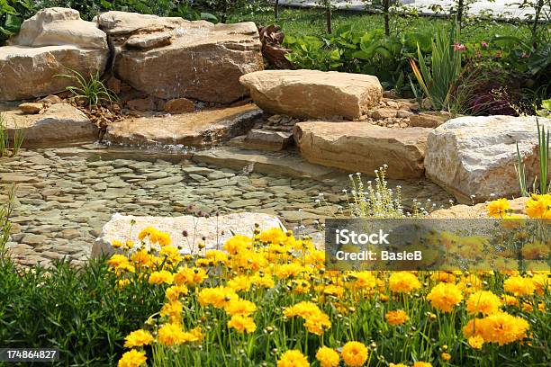 Foto de Novo Pond e mais fotos de stock de Ajardinado - Ajardinado, Amarelo, Cabeça da flor