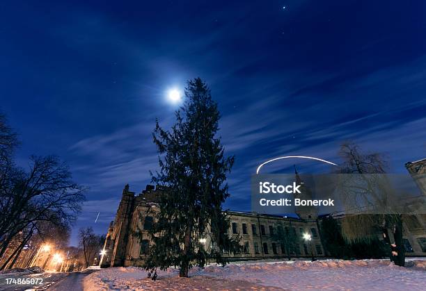 Photo libre de droit de Lune Dhiver banque d'images et plus d'images libres de droit de Bâtiment vu de l'extérieur - Bâtiment vu de l'extérieur, Lune, Arbre