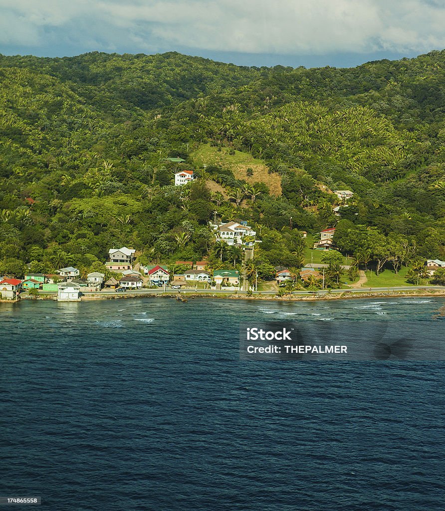 Luftaufnahme Insel roatan - Lizenzfrei Baum Stock-Foto