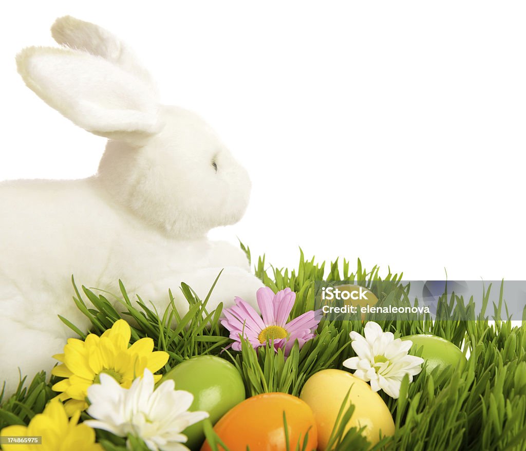 Pasqua - Foto stock royalty-free di Bellezza