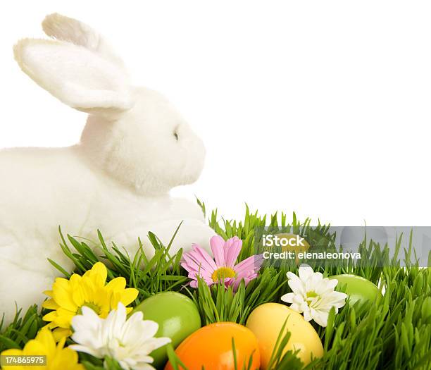 Pasqua - Fotografie stock e altre immagini di Bellezza - Bellezza, Bellezza naturale, Bianco
