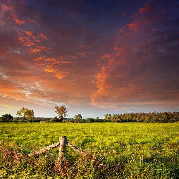 Dramatic skies over field stock photo
