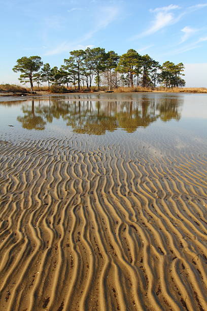 Chesapeake Bay Tidal Flat Tidal flat on Chesapeake Bay at low tide. brackish water stock pictures, royalty-free photos & images