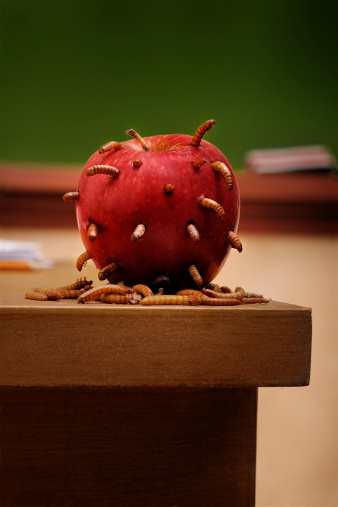 Apple on teacher's desk rotting and being eaten by worms.