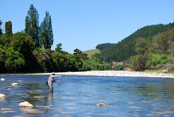 Fisherman on the Motueka River, Tasman, New Zealand A Fisherman flicks his rod out to the Motueka River, in the Tasman Region of New Zealand.  fisherman on the motueka river tasman new zealand stock pictures, royalty-free photos & images
