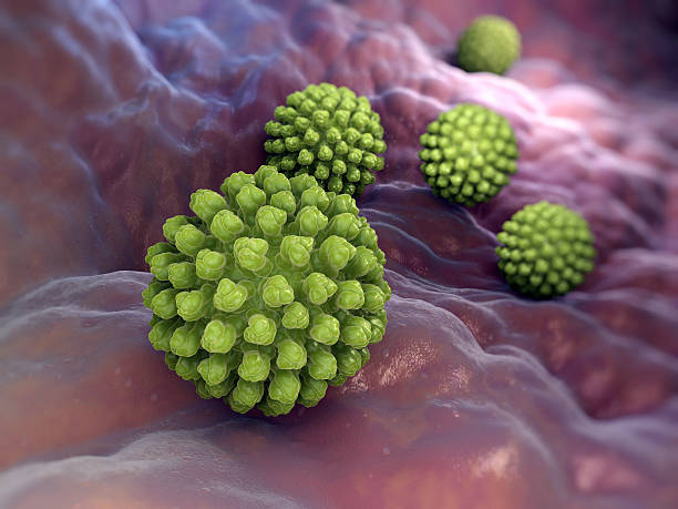 로타바이러스 - rotavirus 뉴스 사진 이미지