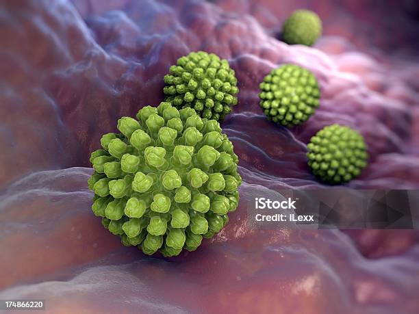 Rotavirus - Fotografias de stock e mais imagens de Rotavírus - Rotavírus, Vírus, Tridimensional