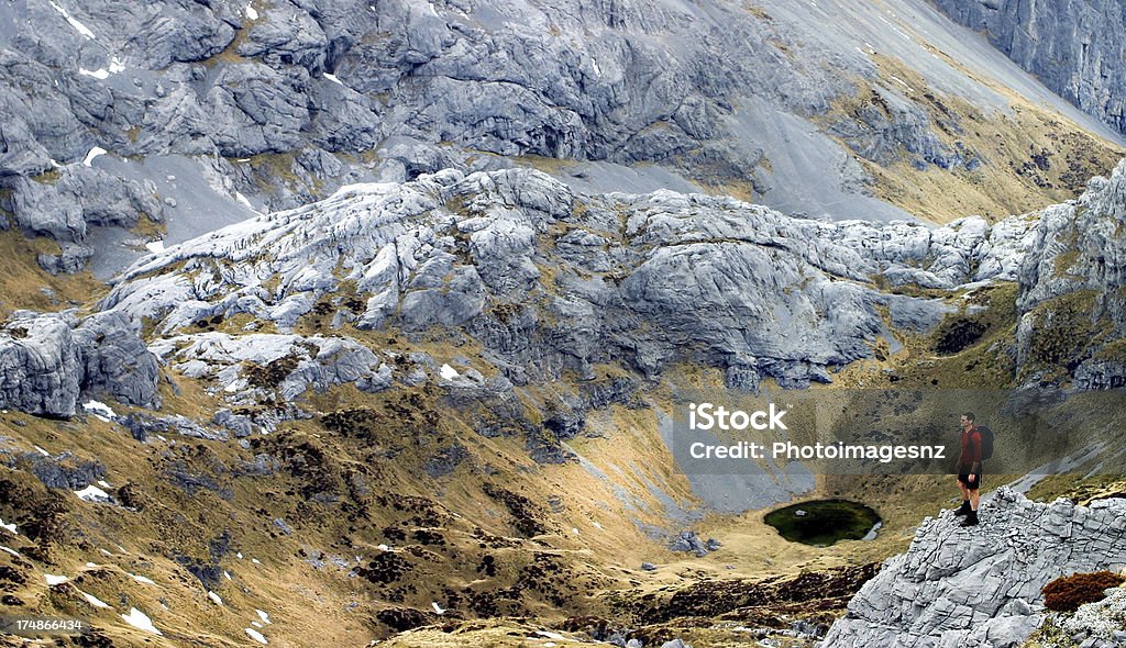 Странник на Гора Оуэн, Nelson, Новая Зеландия - Стоковые фото Альпинизм роялти-фри