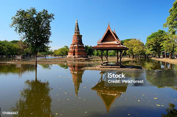 Ayutthaya Dopo Il Fluido - Fotografie stock e altre immagini di Acqua - Acqua, Albero, Albero tropicale