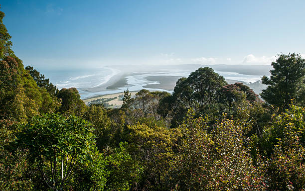 okarito lagoon - okarito lagoon - fotografias e filmes do acervo