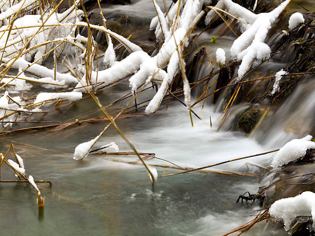 blured 데테일 - plitvice lakes national park croatia winter sparse 뉴스 사진 이미지