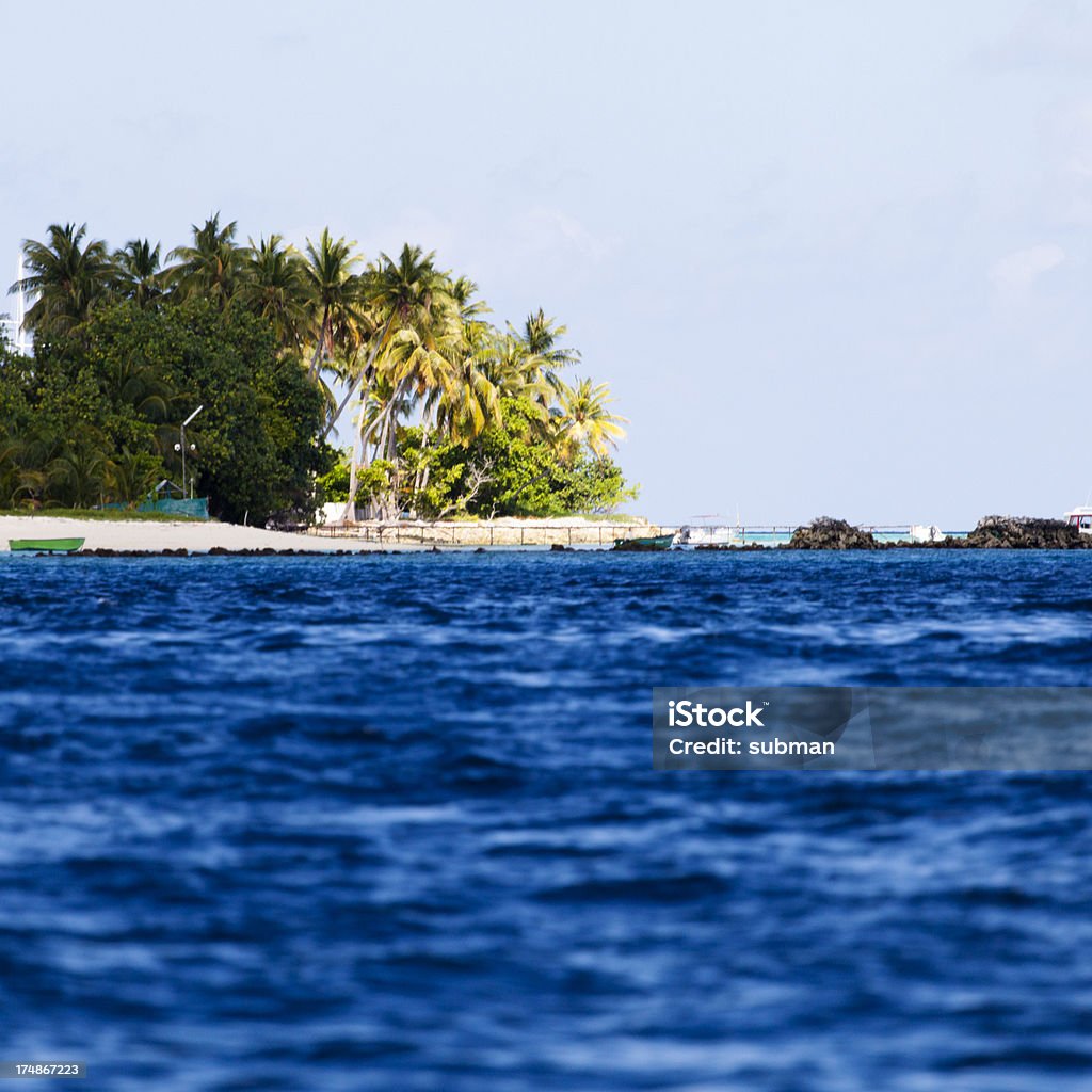 Île de palmiers - Photo de Arbre libre de droits